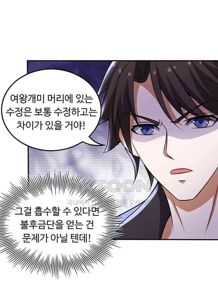 최강신의 209 4