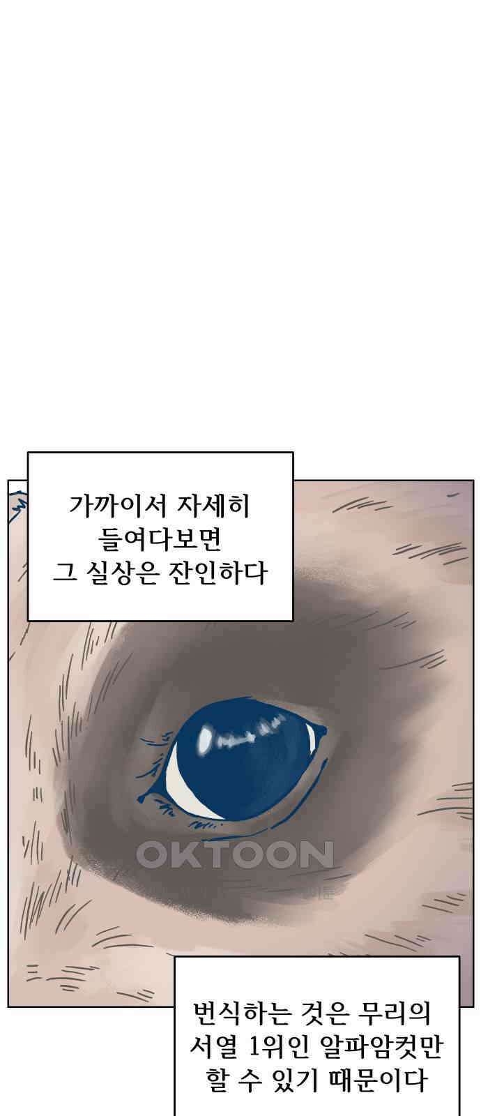 달이 뜨지 않는 도시 19화 4