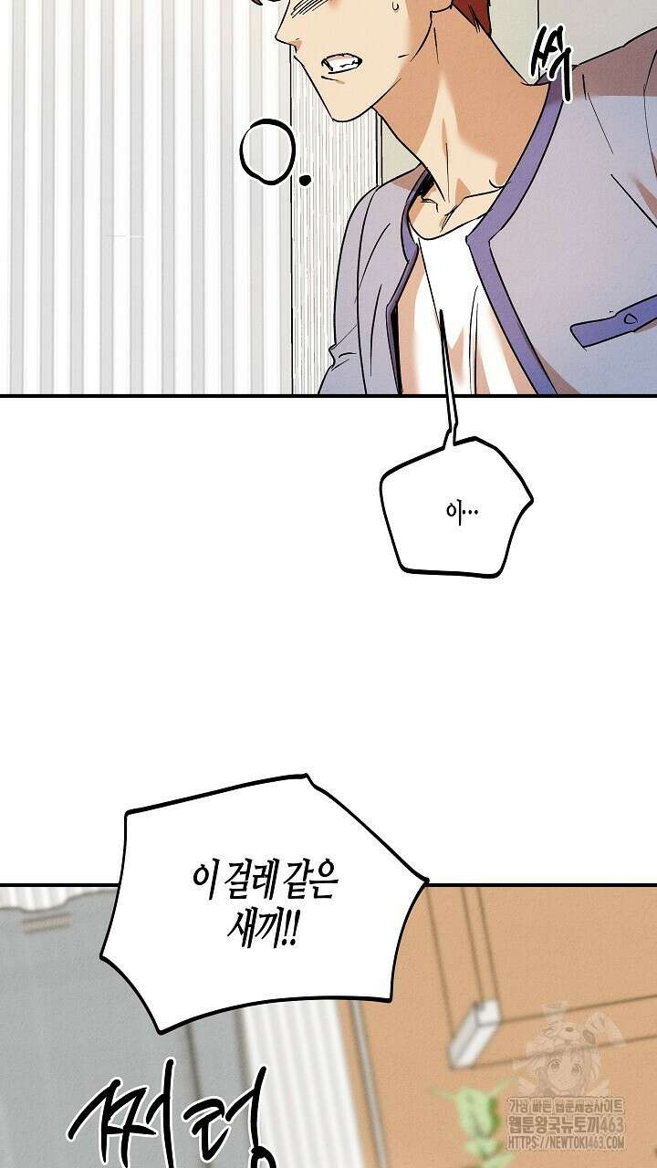 어프록시말 가이드 14화 11