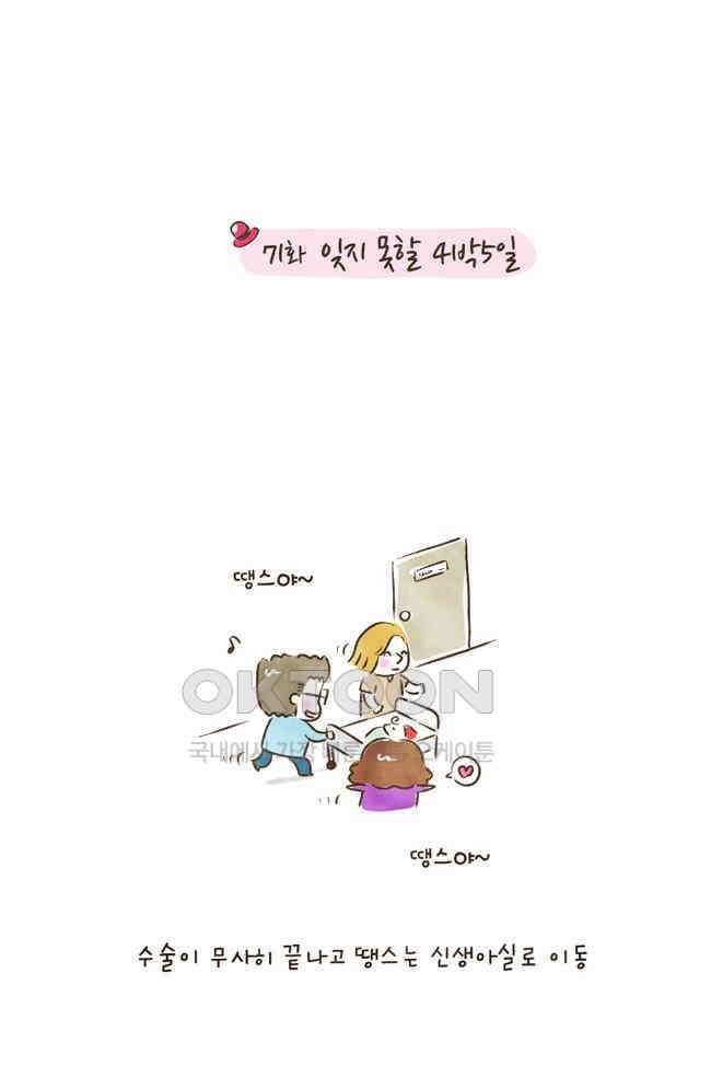 딩스뚱스 71화 잊지 못할 4박5일 2