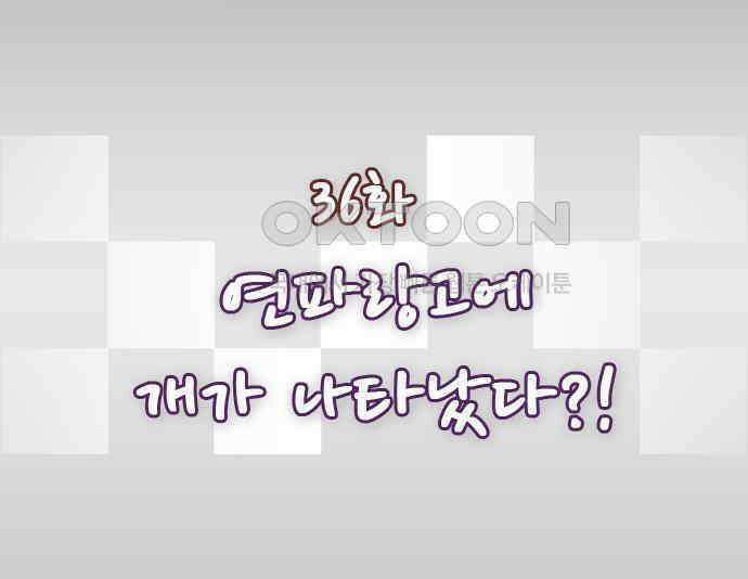 우리들은 푸르다 36화 연파랑고에 개가 나타났다?! 1
