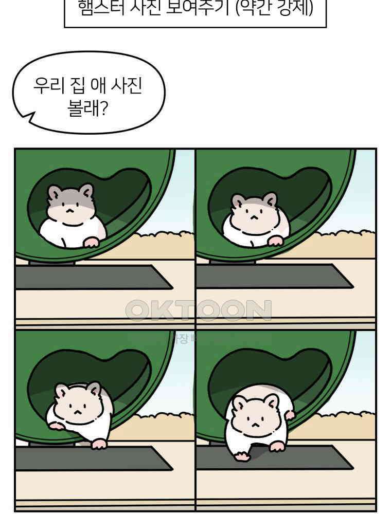 어쩌다 햄스터 24． 내햄소 8