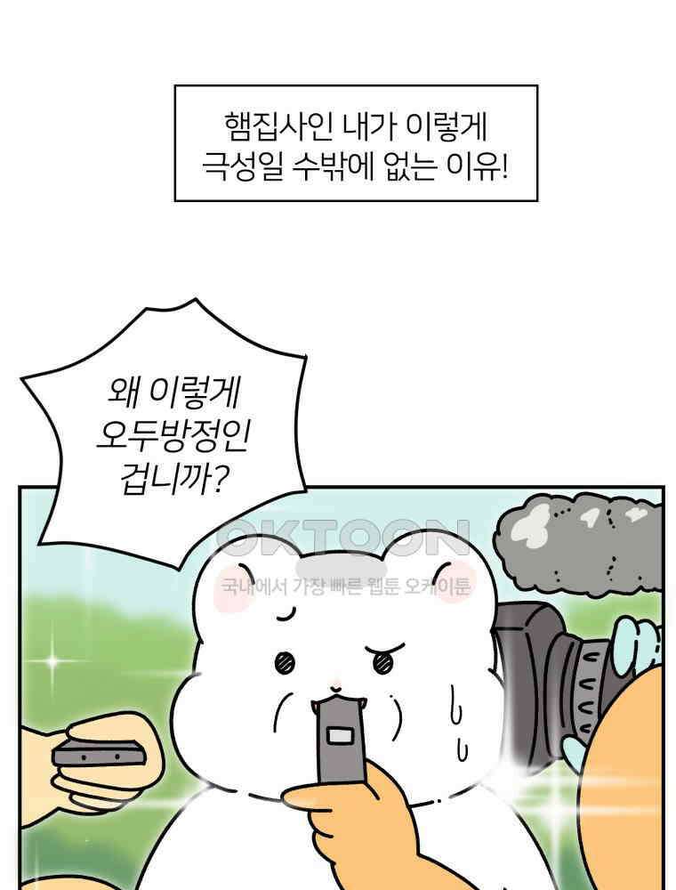 어쩌다 햄스터 24． 내햄소 13