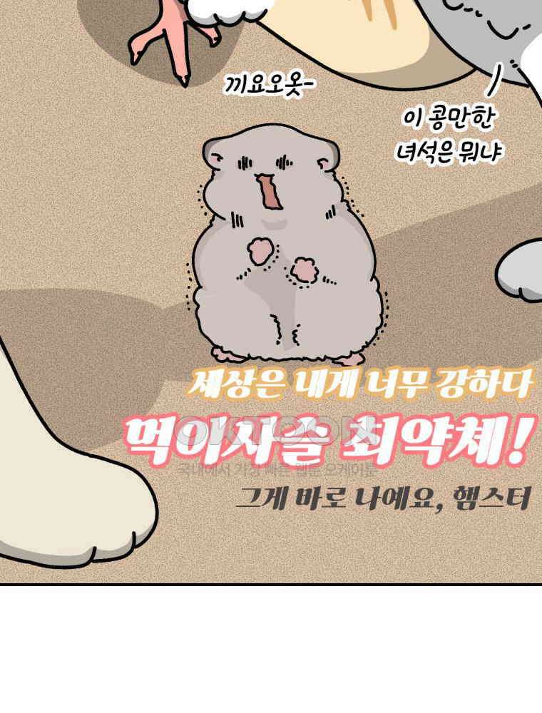 어쩌다 햄스터 24． 내햄소 20
