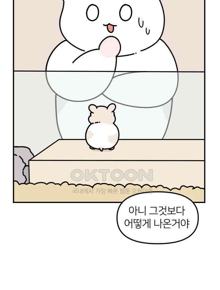 어쩌다 햄스터 27． 눈치 빠른 햄스터 12