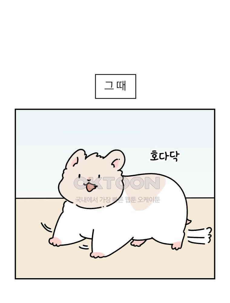 어쩌다 햄스터 27． 눈치 빠른 햄스터 13