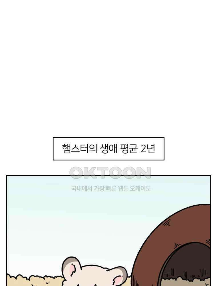 어쩌다 햄스터 38． 집으로 1