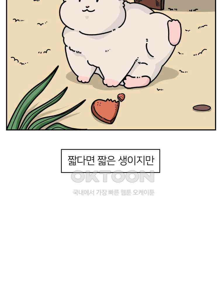 어쩌다 햄스터 38． 집으로 2