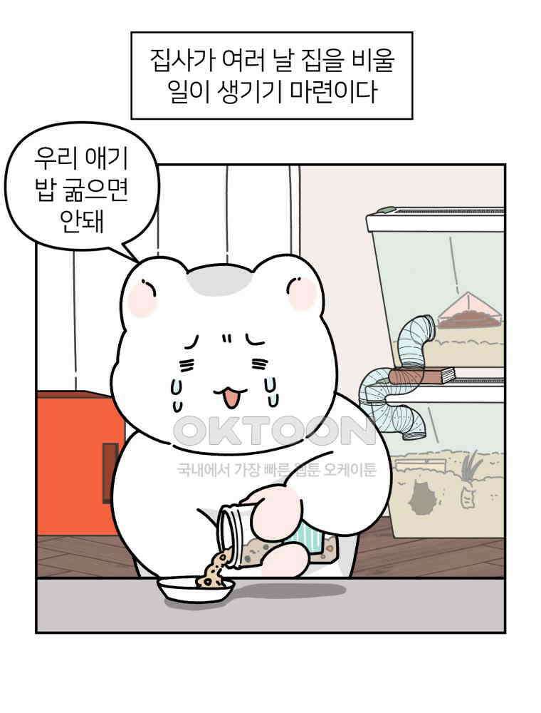 어쩌다 햄스터 38． 집으로 3