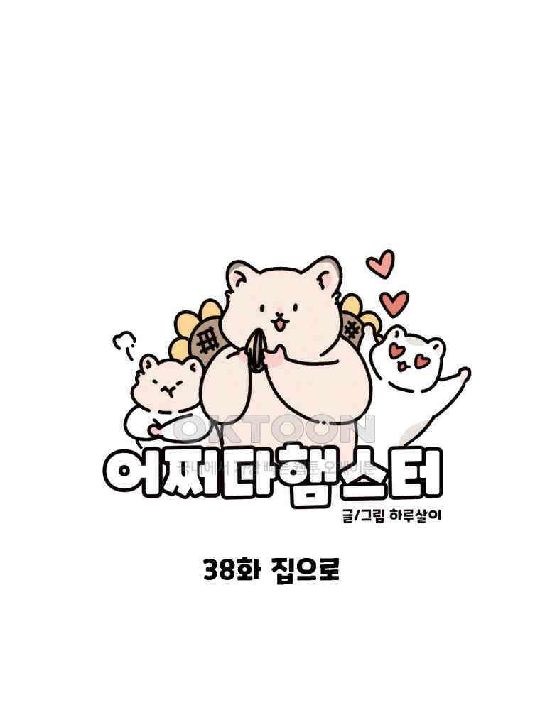 어쩌다 햄스터 38． 집으로 14