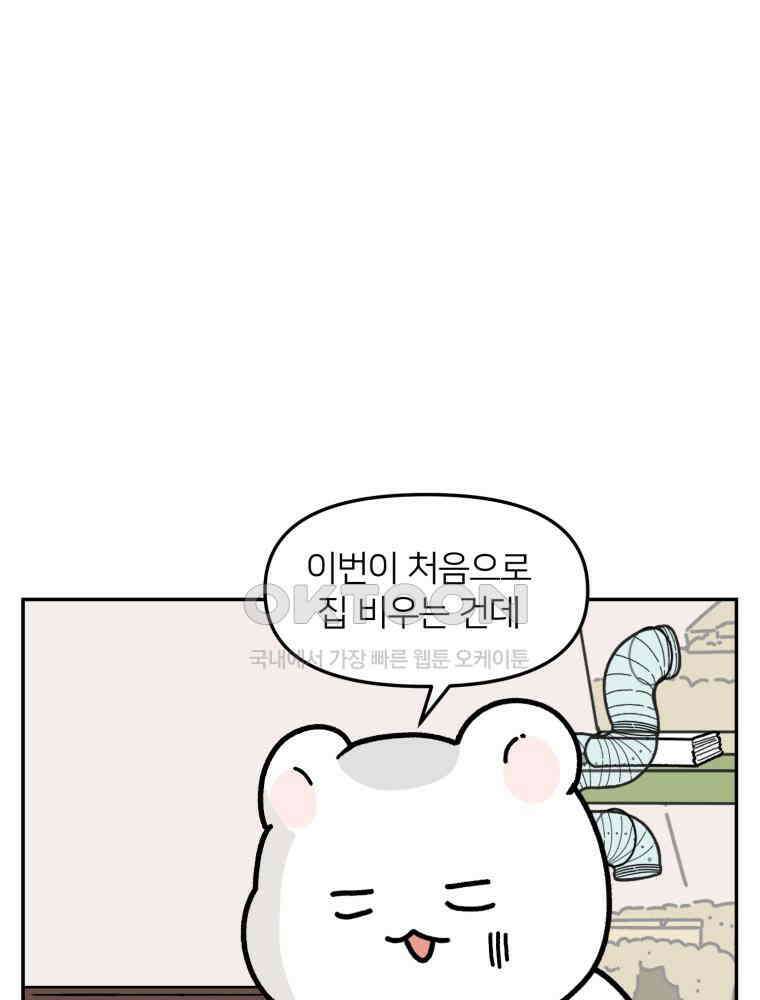 어쩌다 햄스터 38． 집으로 15