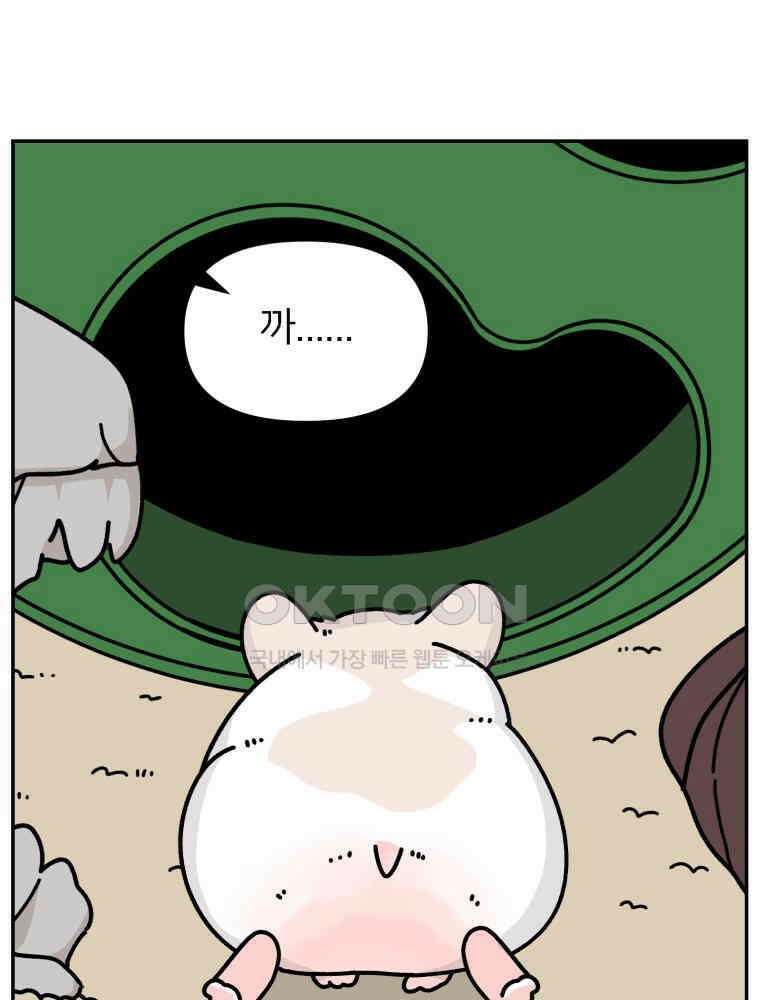 어쩌다 햄스터 42． 그럭저럭 괜찮은 12