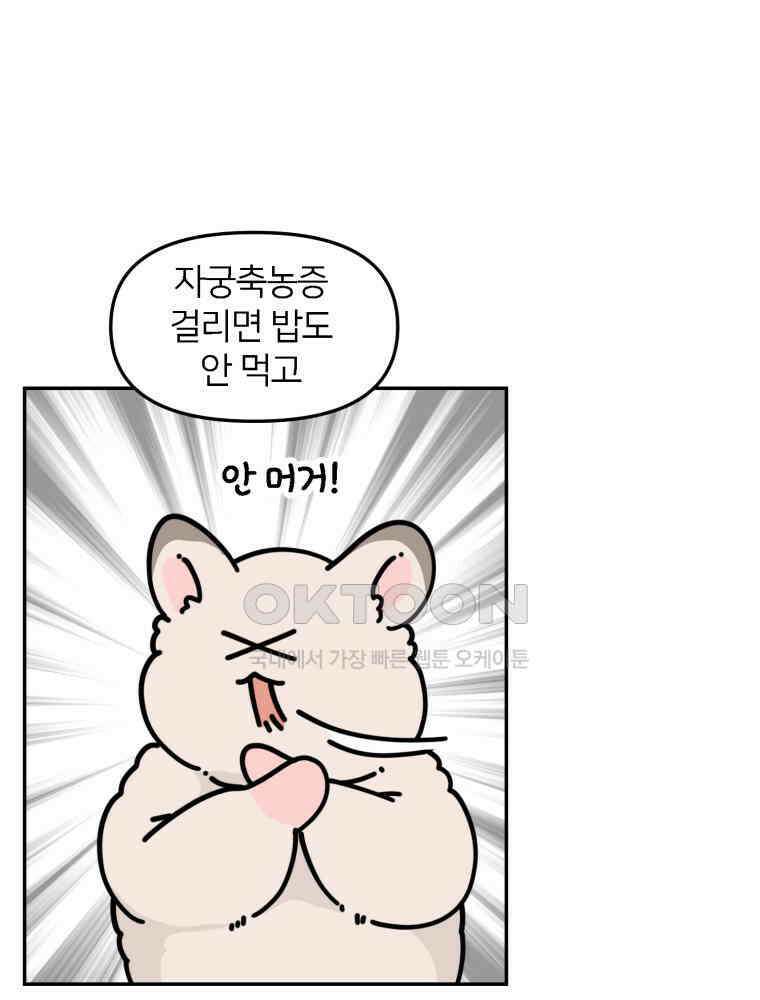 어쩌다 햄스터 45． 집사의 마음 3