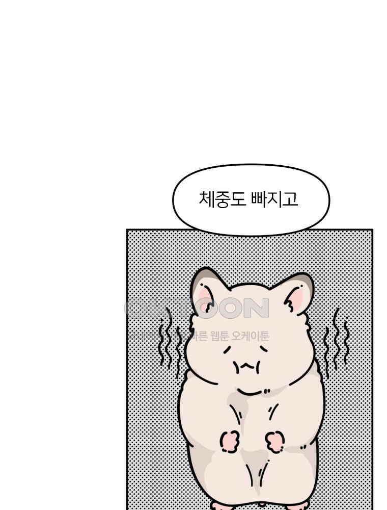 어쩌다 햄스터 45． 집사의 마음 4