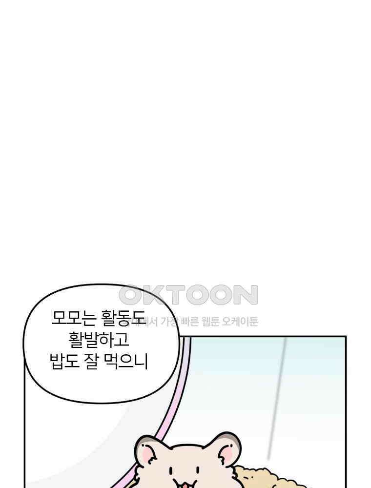 어쩌다 햄스터 45． 집사의 마음 6