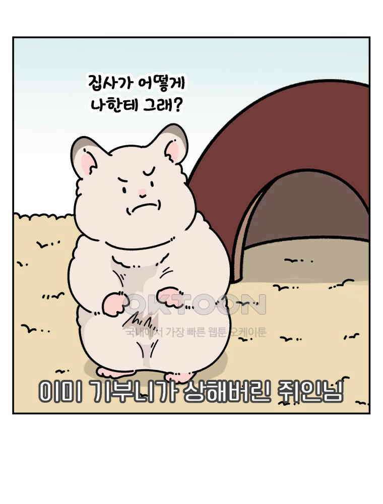 어쩌다 햄스터 45． 집사의 마음 12