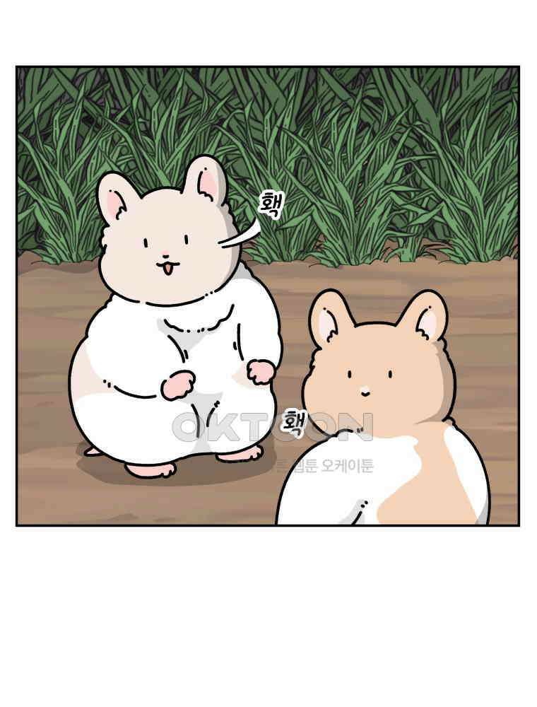 어쩌다 햄스터 외전 4． 만나도 될까? 7