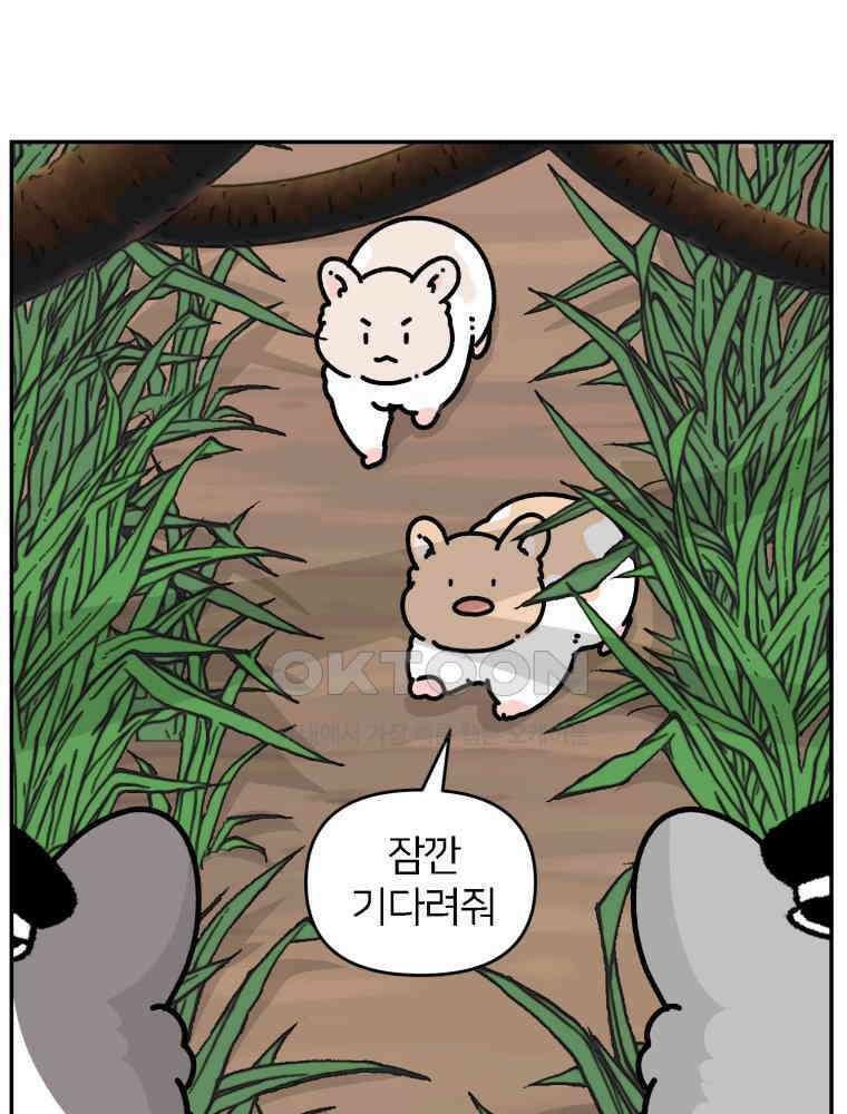 어쩌다 햄스터 외전 4． 만나도 될까? 12