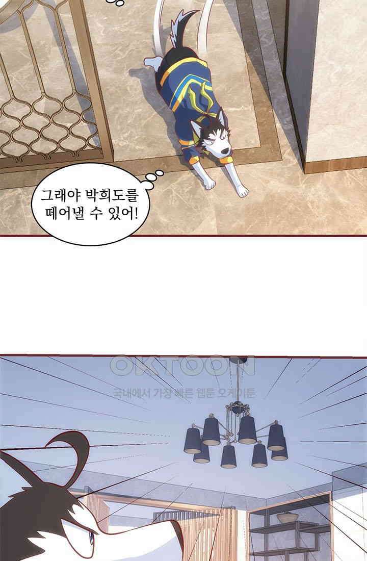 환생 허스키, 인간 회귀 대작전! 31화 11