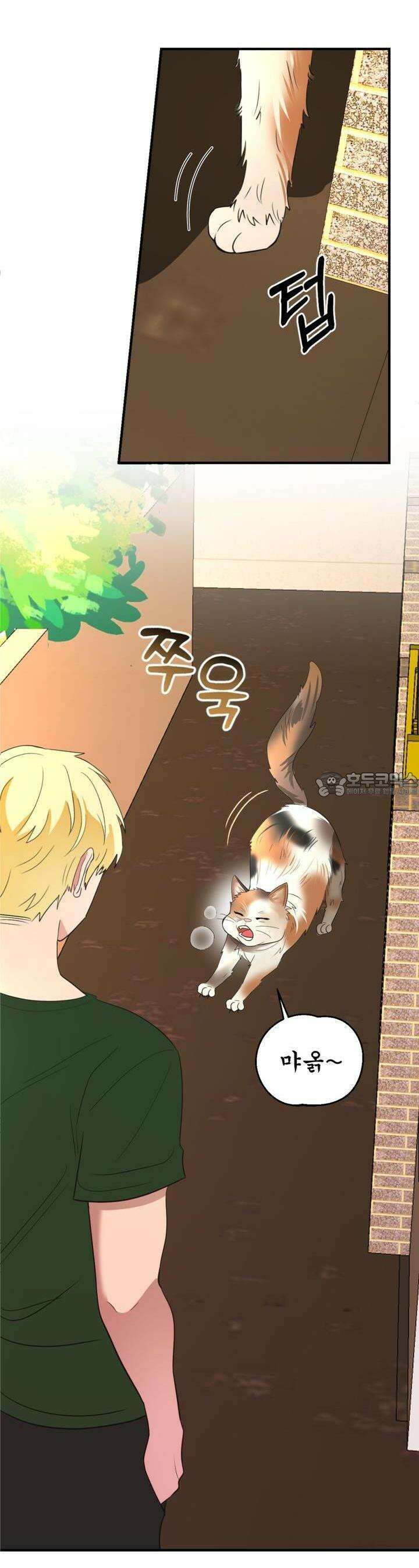 취향저격 자매 25화 4