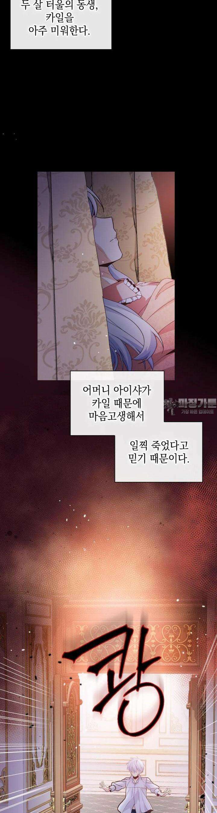 후작가의 마법 천재 27화 2