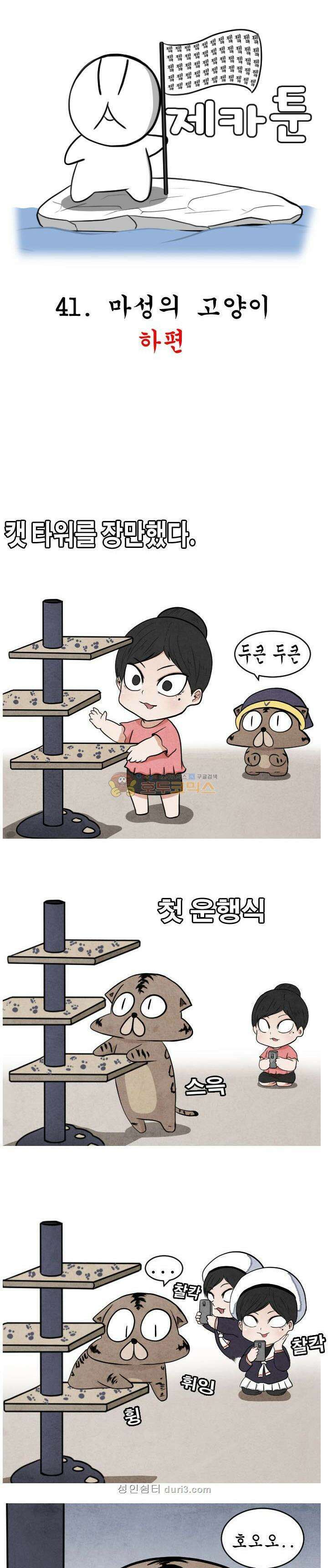 제카툰 41화 - 마성의 고양이 (하편) 1