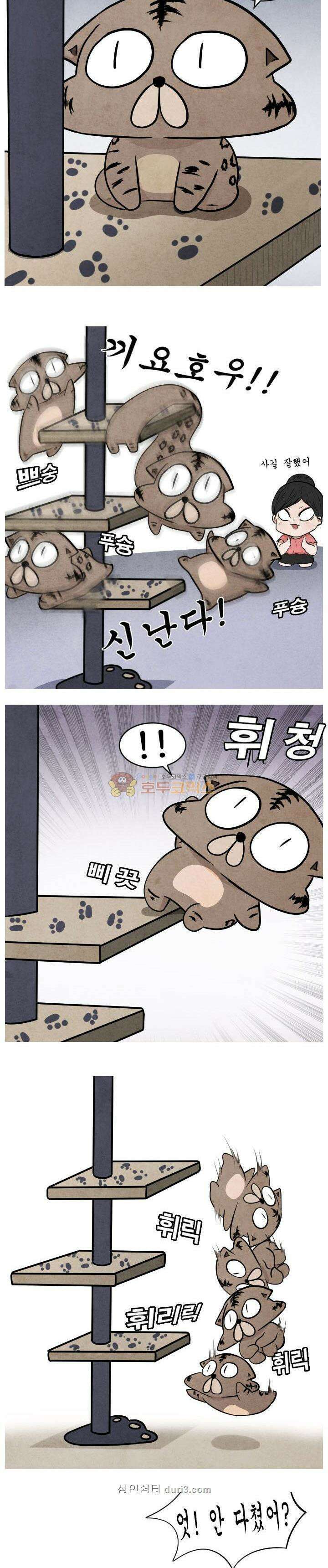 제카툰 41화 - 마성의 고양이 (하편) 2