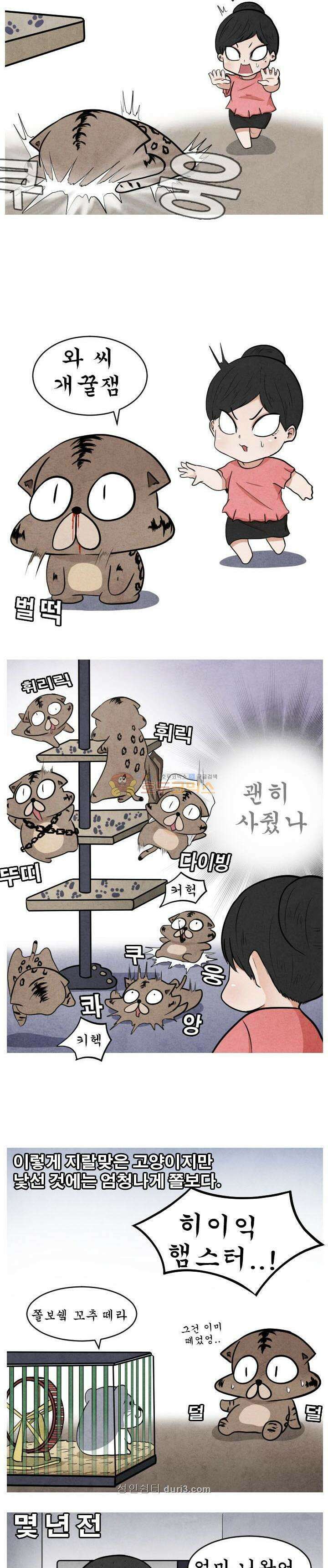 제카툰 41화 - 마성의 고양이 (하편) 3