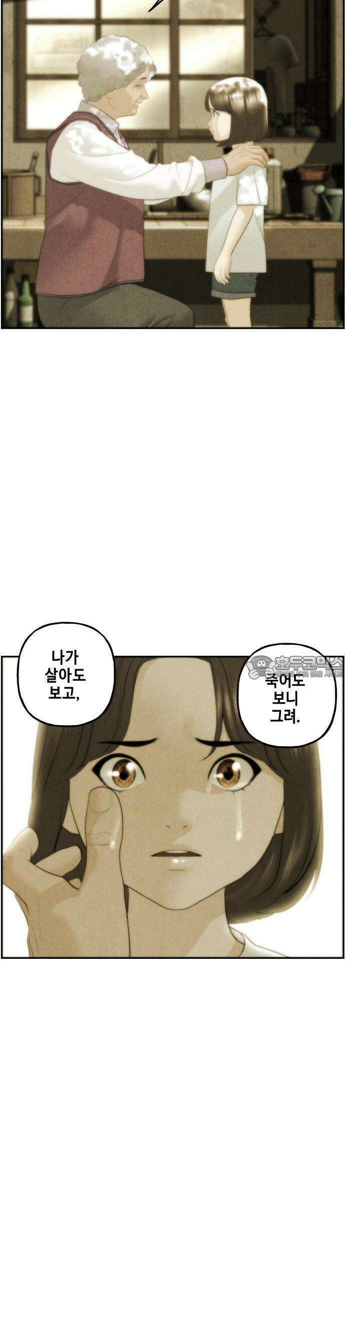 미래의 골동품 가게 156화 - 귀가:鬼家 (19) 12