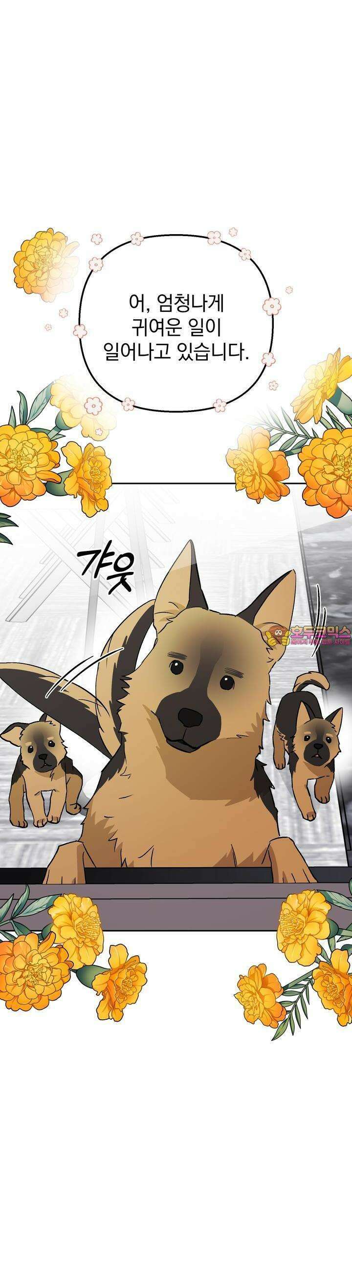 개 같은 남자 50화 1