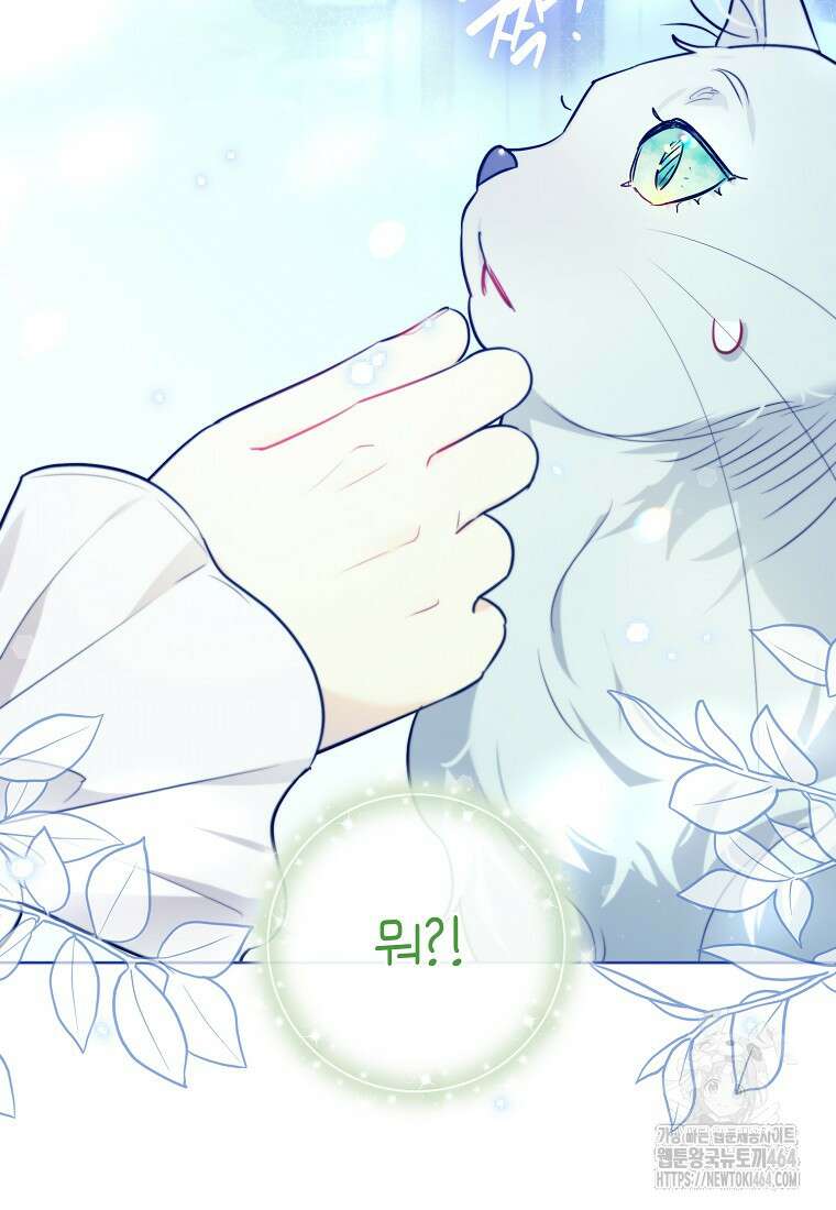 악역에 빙의했지만, 고양이나 키울래요 35화 8