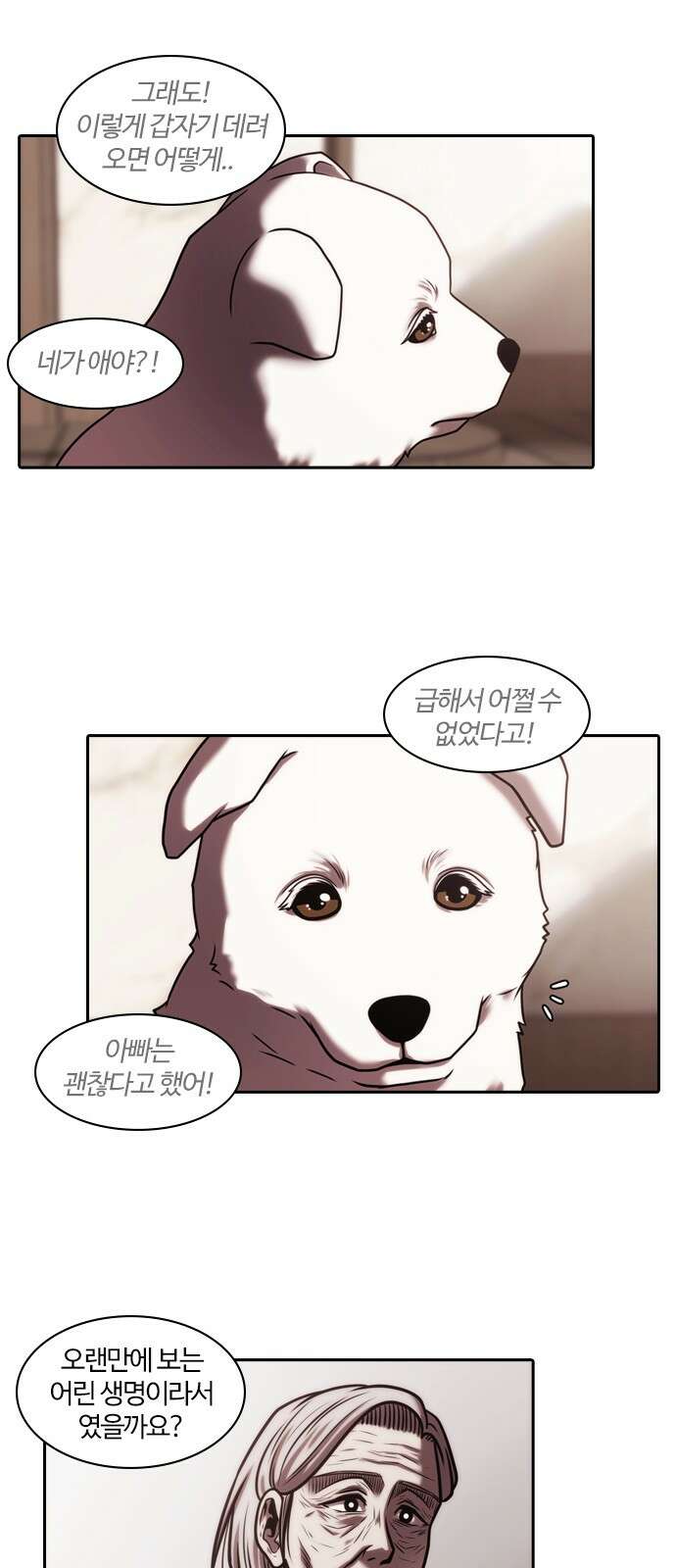 내일 348화 당신의 조각들 (11) 4