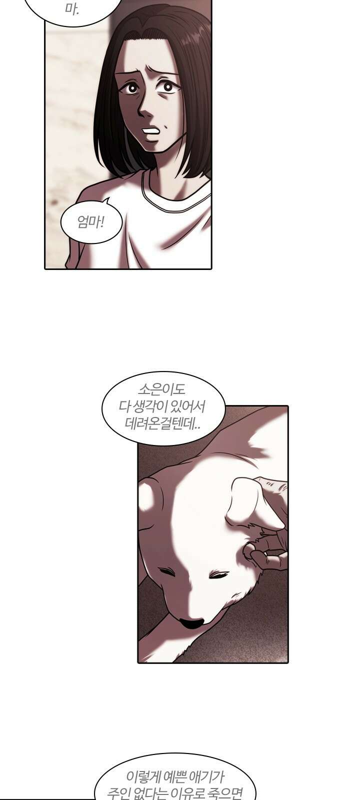 내일 348화 당신의 조각들 (11) 6