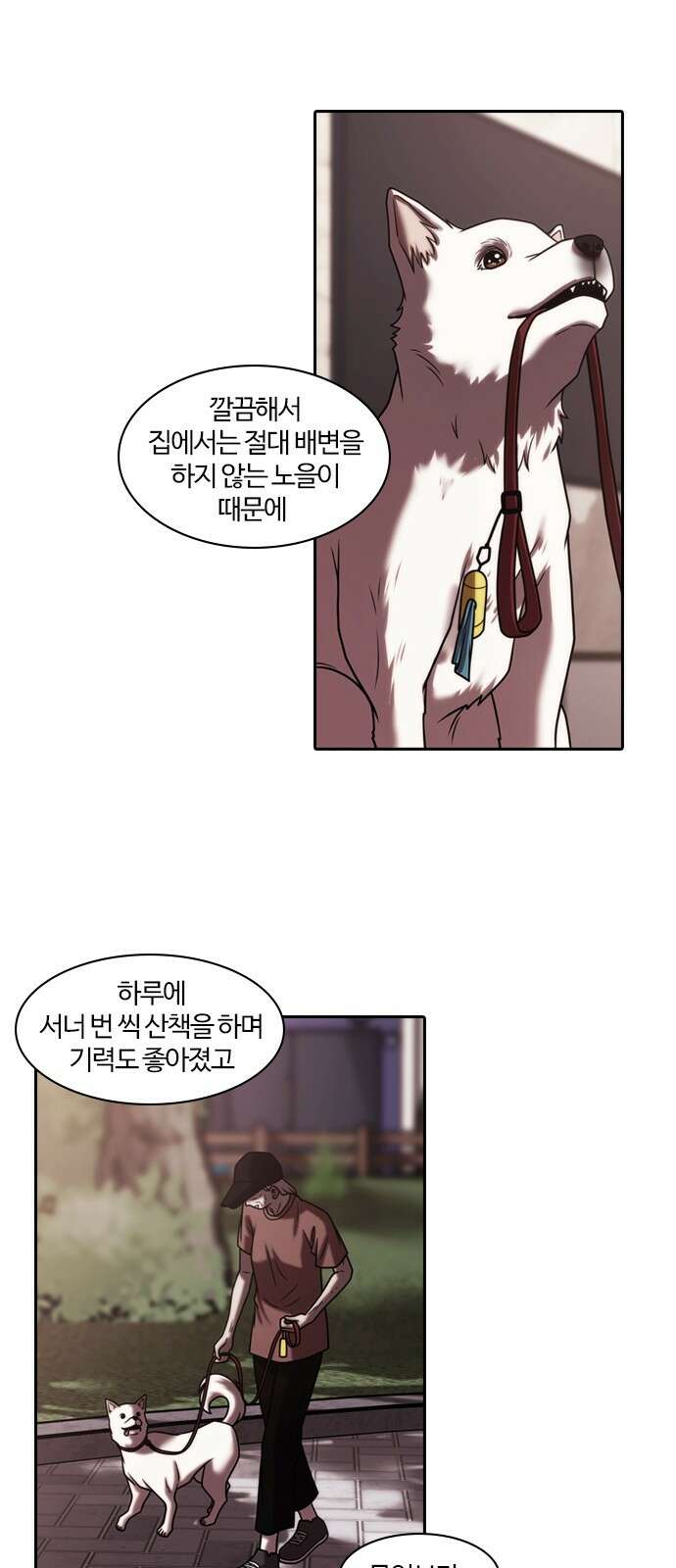 내일 348화 당신의 조각들 (11) 11