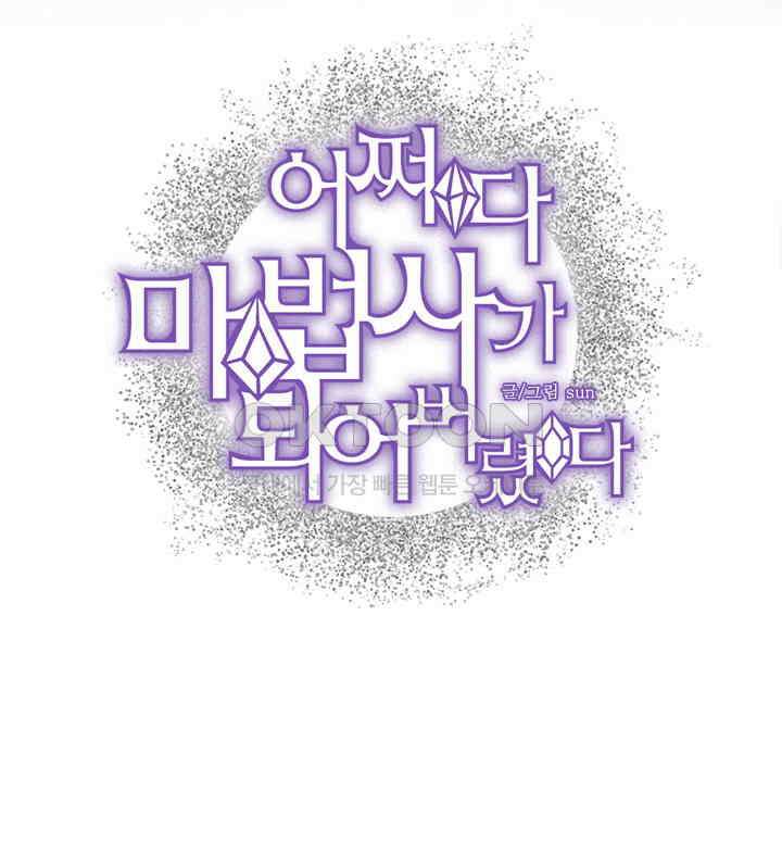 어쩌다 마법사가 되어버렸다 24 2