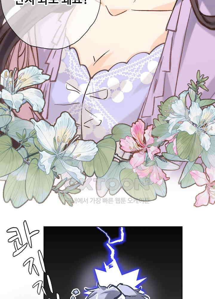 어쩌다 마법사가 되어버렸다 48 9