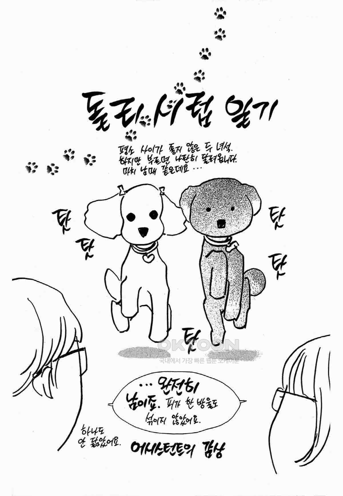 클로버 트레플 54화 3