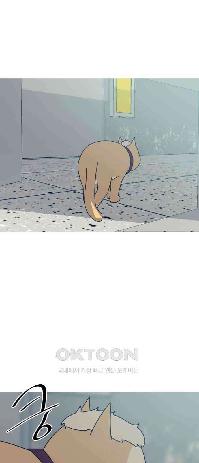 아는 사람 16화 : 외지인(2) 9