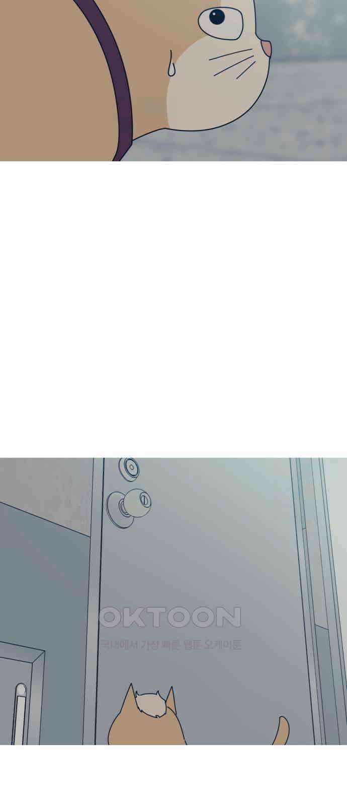 아는 사람 16화 : 외지인(2) 10