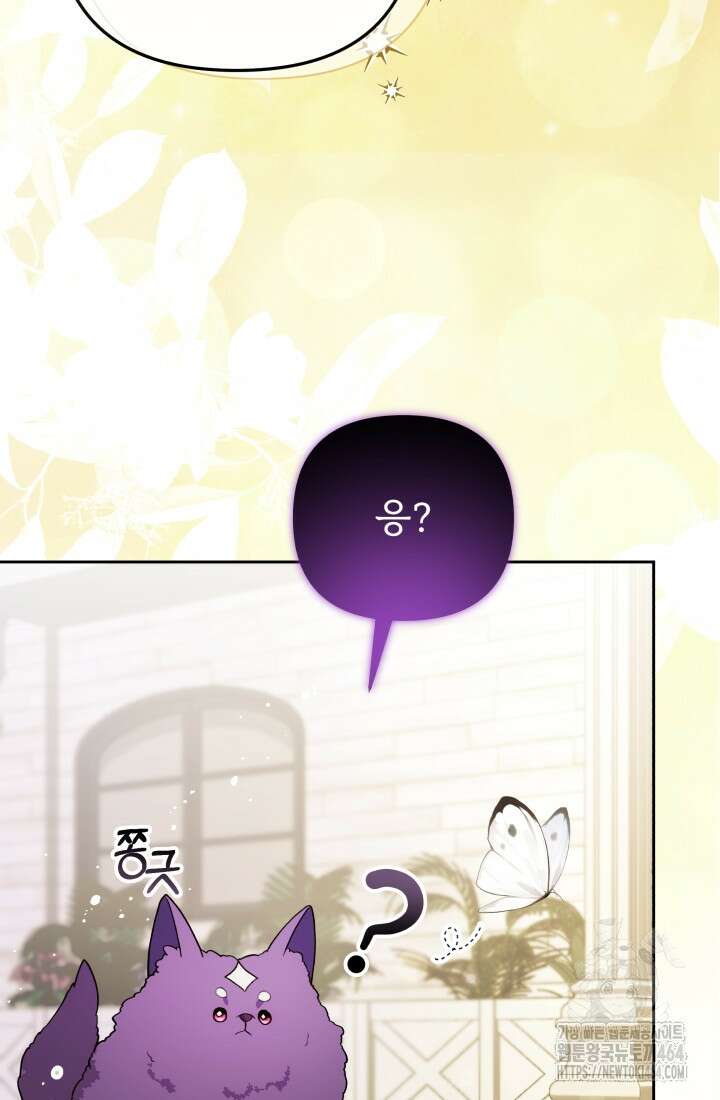 아젤다 : 정령사의 계약 결혼 3화 13