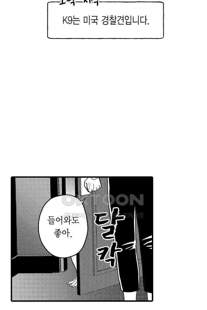 양키 군은 개가 되고 싶어 30화 3