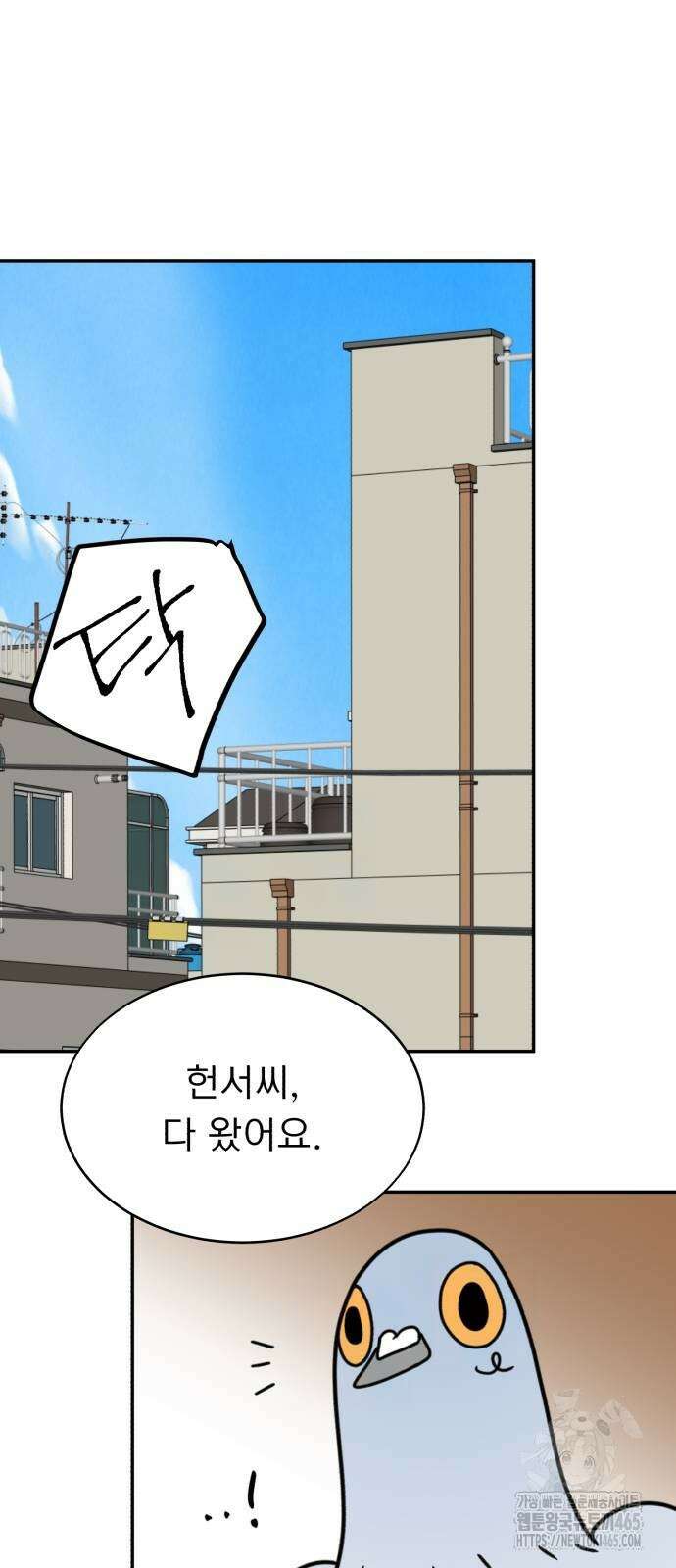 성북구 비둘기 이헌서 27화) 예상치 못한 질문 4