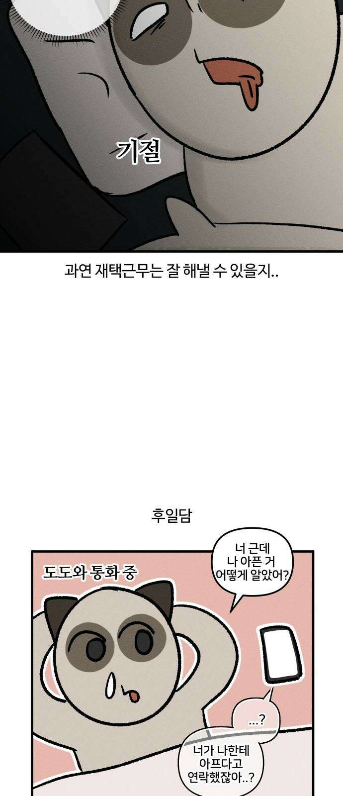 구야는 신입 34화 자취생 아프다 (2) 17