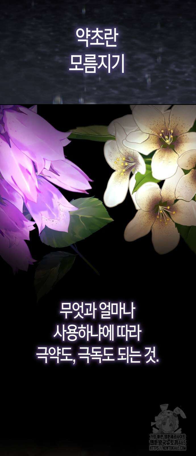 하루만 네가 되고 싶어 238． 퀸 96