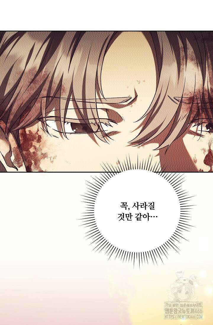 파혼한 영애는 엔딩 외엔 집착하지 않는다 51화 19