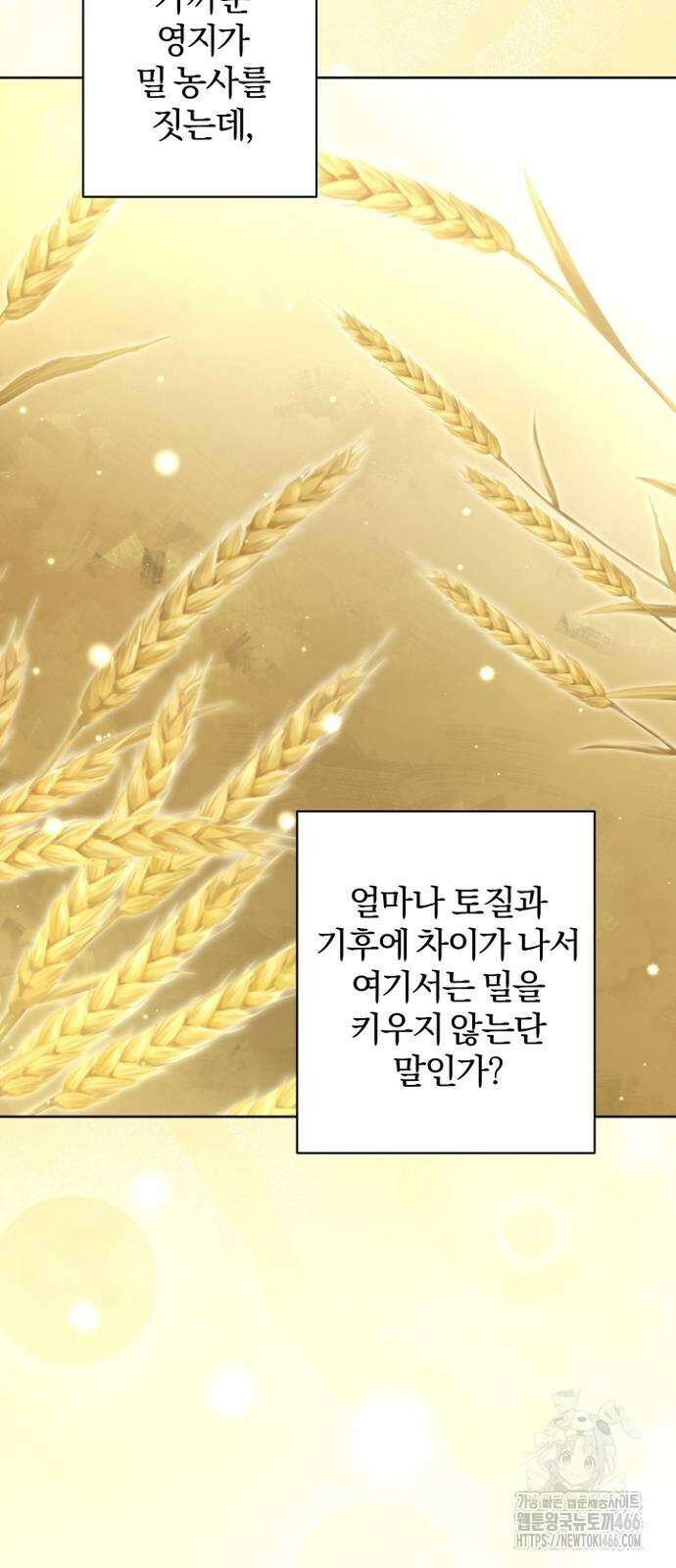 시한부의 아이까지 뺏으려 합니다 72화 65