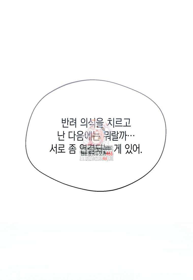 남편을 고를 때는 신중하게 71화 1