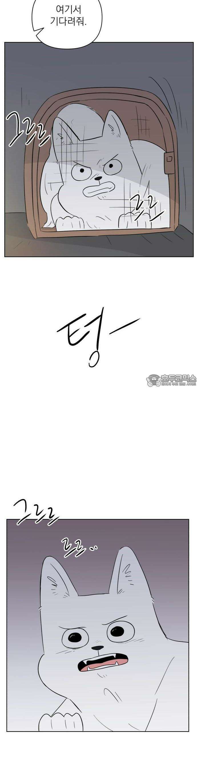 문어숙희숙회 25화 9