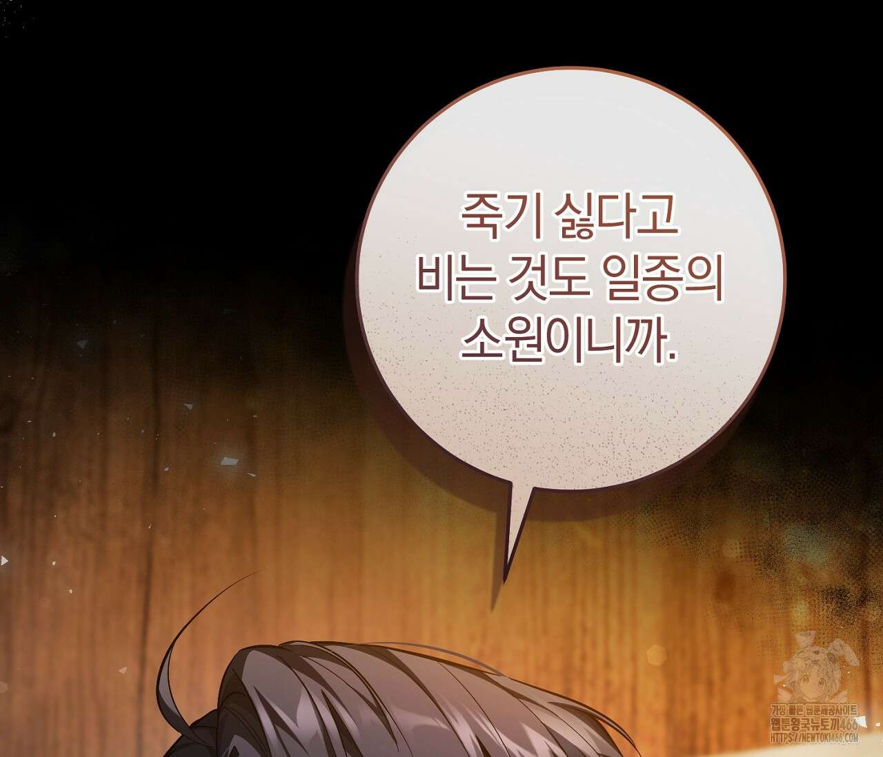 헌터는 조용히 살고 싶다 17화 9