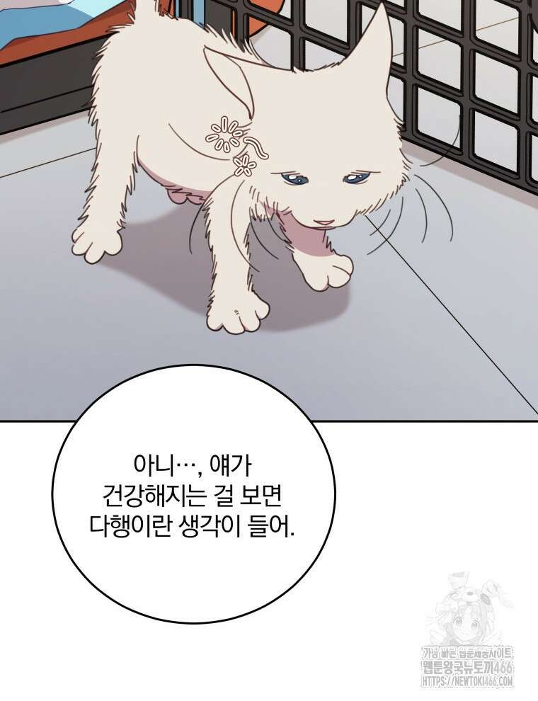 접경지역의 동물병원 131화 12